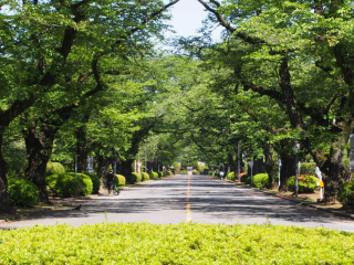2/28(土) 星野博美さんDAYトーク 『異文化交流の最終目標』のご案内